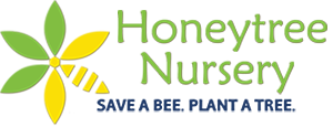 Honeytree Nursery